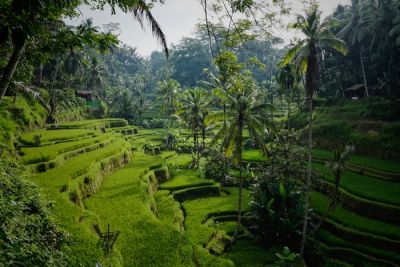 4 Alasan Wisatawan Kembali Ke Bali
